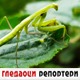 Гледаоци репортери (28. јул 2021)