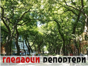 Гледаоци репортери (29. јул 2021)