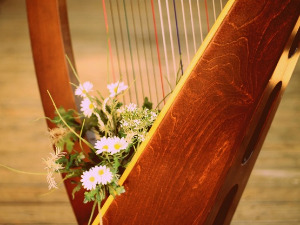  Добро јутро децо - Харфа 