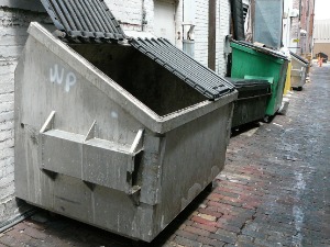Канада, за угљенисано тело жене помислили да је лутка – бацили га у полицијски контејнер