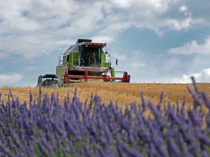 Наредних дана знатно пријатније време, изузетно топло само на југоистоку