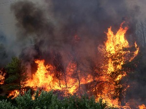 Пожари у Северној Македонији и Грчкој – затворен прелаз Евзони, критично у предграђу Атине