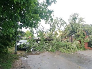 Обилна киша у Бањалуци, ветар ломио дрвеће и гране