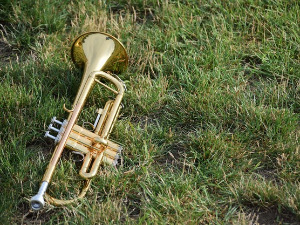 Свирај свирче - Труба