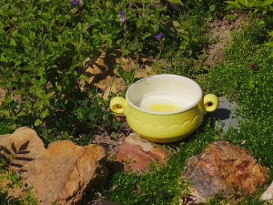  Добро јутро децо - Слатка каша 