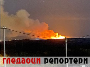Гледаоци репортери (9. август 2021)