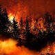 Шта знамо о шумским пожарима?