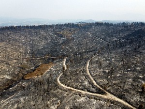 Ватра на Евији под контролом, Грци захвални на помоћи ватрогасаца из Србије