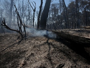 Букте пожари на Пелопонезу, на Евији под контролом