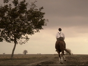  1001 Траг - Не питај ме стара мајко - Недељко Билкић 