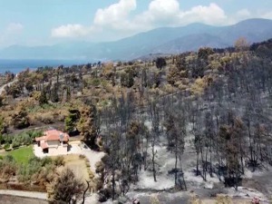 Пожари на Евији и на Пелопонезу под контролом