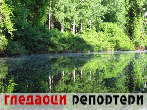 Гледаоци репортери (17. август 2021)
