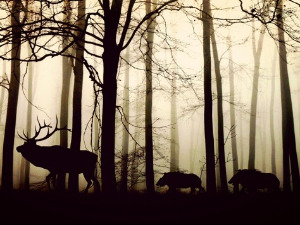  Добро јутро децо - Ко то говори 