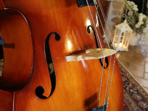 	Свирај свирче - Контрабас