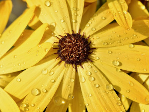  Добро јутро децо - Љута прича 