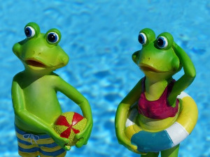  Добро јутро децо - Жабац 