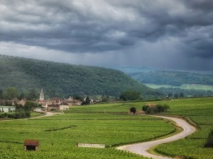 Смена сунца и облака - до недеље свежије, понегде са кишом