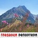 Гледаоци репортери (31. август 2021)