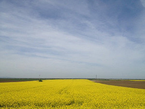 Фолдер Србија: Дисциплинске мере