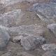 У Турској случајно откривен један од најстаријих мозаика на свету
