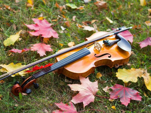 	Добро јутро децо: Плес напуштене виолине