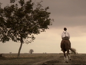  1001 Траг - Док музика негде свира - Станиша Стошић 