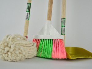 Добро јутро децо: Теткице