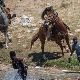 Потера за хаићанским избеглицама, сцене ужаса на граници САД
