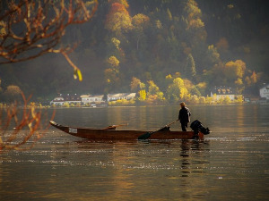 	Добро јутро децо: Прича запетљана у мрежи