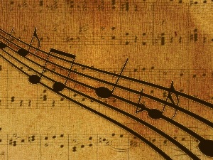 Срђан Хофман 