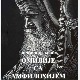 Промоција зборника "Омилије са Амфилохијем"