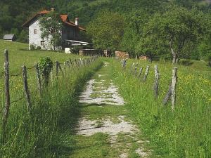  1001 Траг - Руговски одјек - Божидар Боки Милошевић 