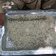 "Бомбе" – наслаге из катализатора помешане са лековима као нова дрога