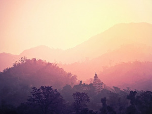 Добро јутро децо: Музичар 