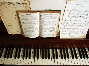 Михаил Плетњов, пијаниста