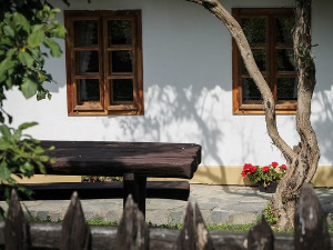  1001 Траг - Била једном ружа једна - Предраг Гојковић Цуне 