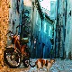 Нова књига есеја Чарлса Симића "Анђели на жици за веш"