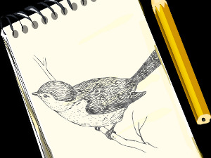 Радио драма: Свеска над свескама, 1. део