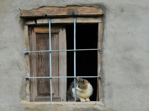 Добро јутро децо - Чуда у мом крају