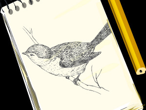 Радио драма: Свеска над свескама, 3. део