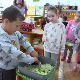 Сазнајте шта је компост - деца из Кучева кроз игру уче и своје родитеље
