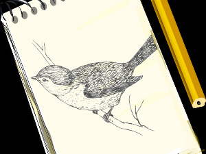 	Радио драма: Свеска над свескама, завршни део 