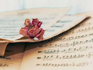 Променада - Београдско пролеће 1982. 