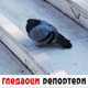 Гледаоци репортери (28. октобар 2021)