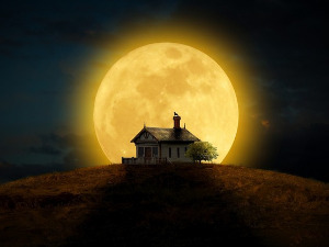 	Радио драма: Кућа из снова, 1. део