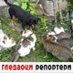 Гледаоци репортери (1. новембар 2021)