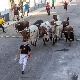 Фаталне последице трке са биковима у Шпанији