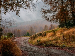 Прави јесењи дан – ред кише, ред облака и ветра