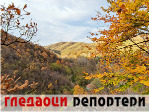Гледаоци репортери (8. новембар 2021)