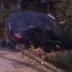 Несрећа у Лесковцу - покосио жену на пешачком, па улетео у двориште